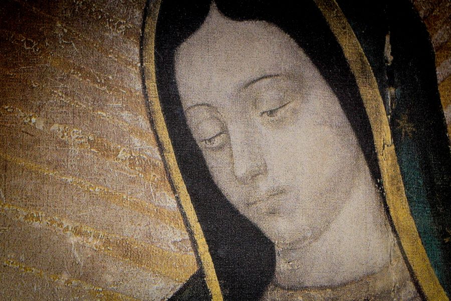 Read more about the article Nossa Senhora de Guadalupe: conheça essa devoção Mariana